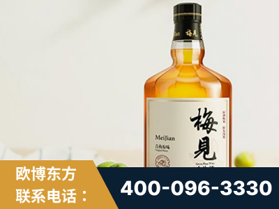 阿坝-梅见青梅酒